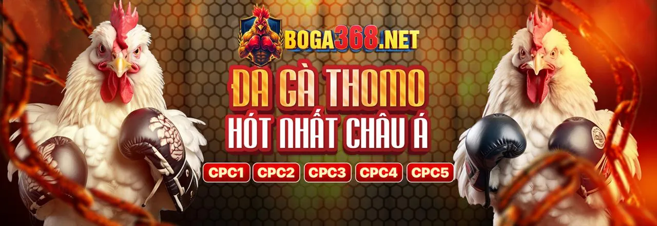 Tổng quan các cấp độ VIP tại 888clb Casino